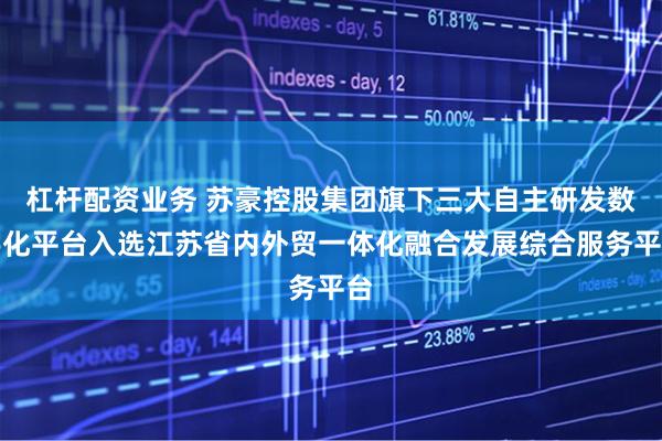 杠杆配资业务 苏豪控股集团旗下三大自主研发数字化平台入选江苏省内外贸一体化融合发展综合服务平台